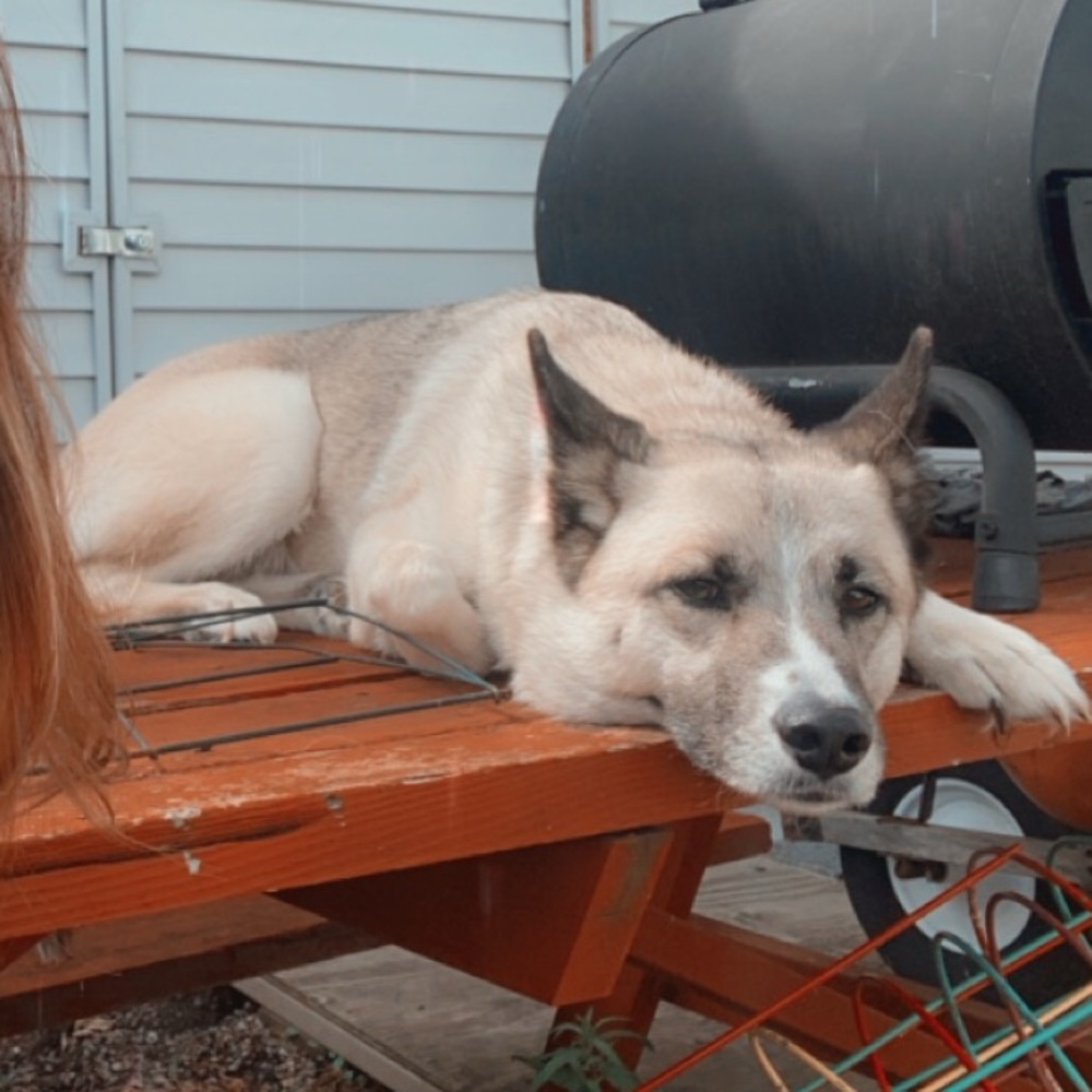 Meet your Posher, Rebeca